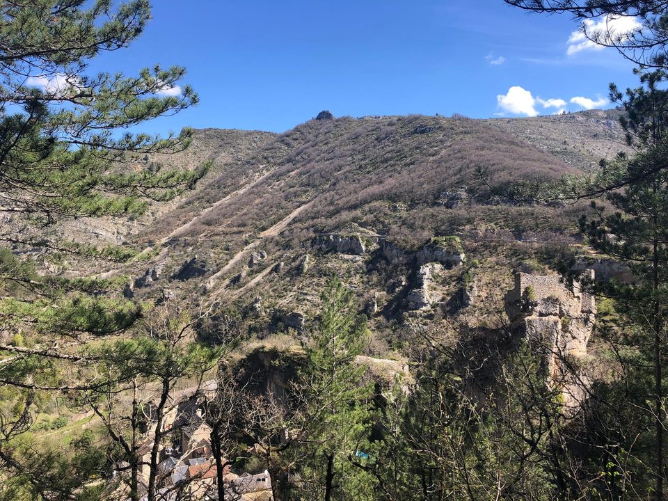 Les gorges du Tarn