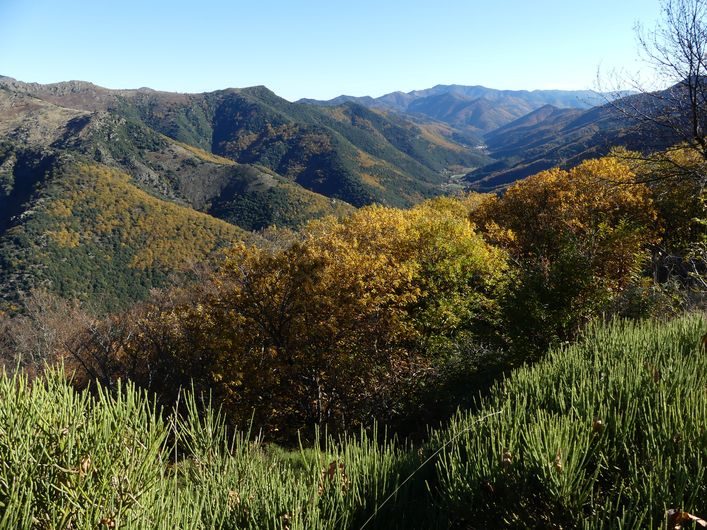 Vallée de l'Hérault