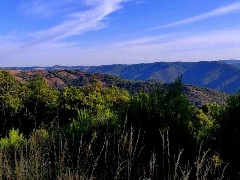 Route de la Corniche des Cévennes