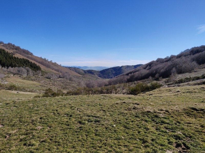 Montée de l'Aigoual