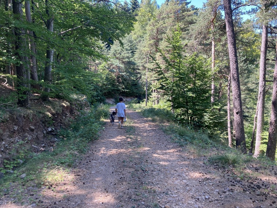 Sentier du Mas de l'Ayre
