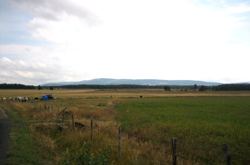 Causse de Montbel
