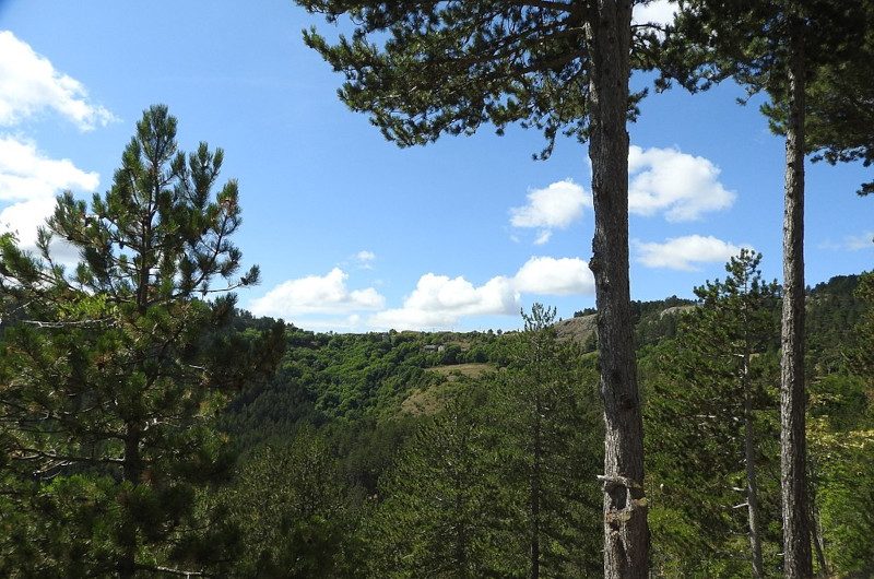 Col de Montmirat