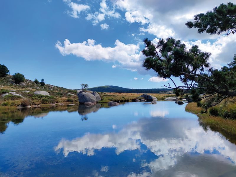 Le Pont du Tarn par Masméjean