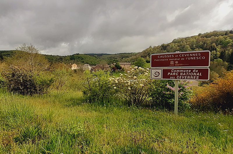 col-loubiere
