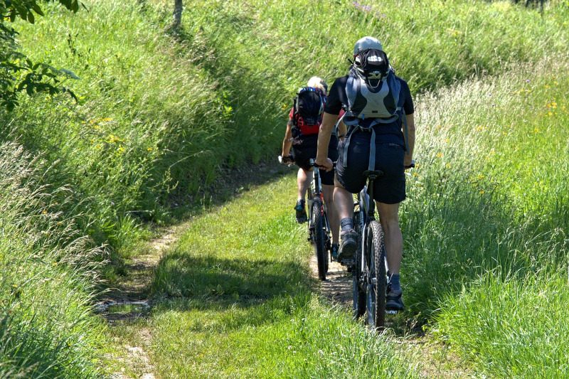 mountain-bike-kictycauuii2