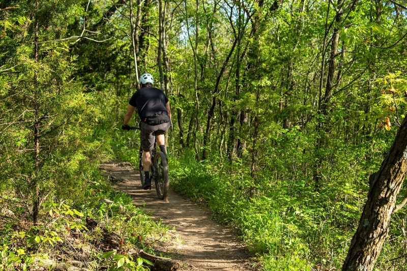 velo-foret-fbl7y2h625re