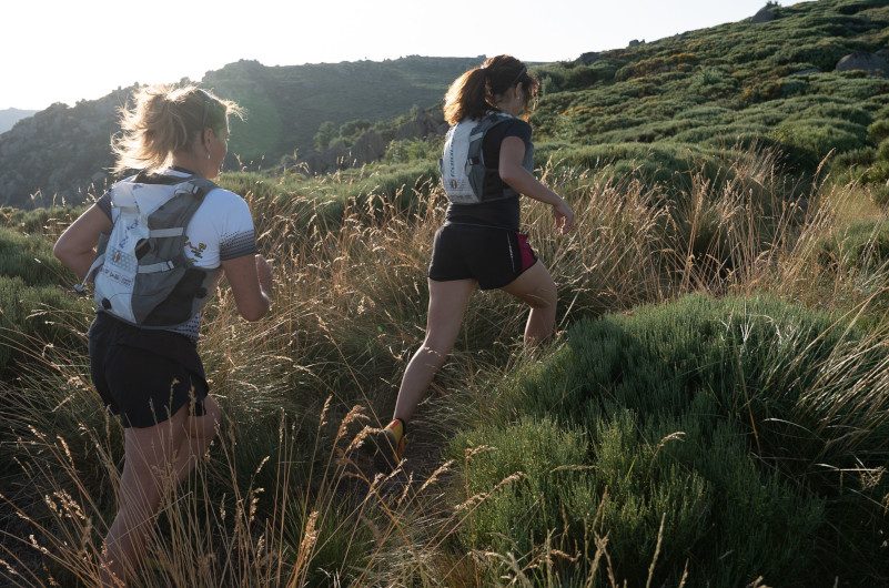 trail-3-4pi3wvy2vr1y