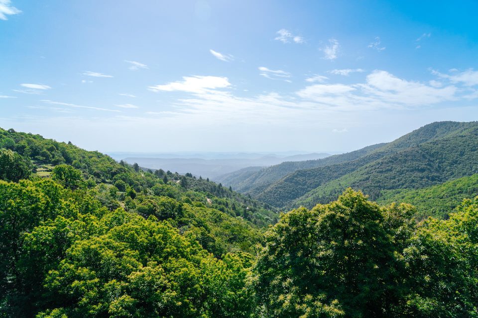 Les Allègres