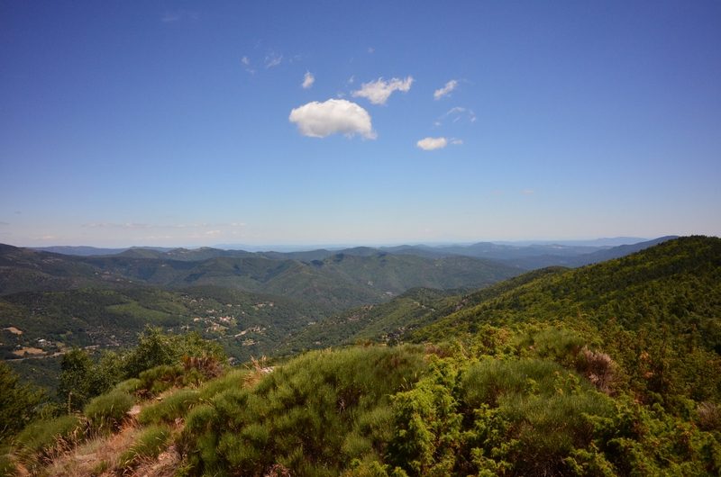 Col des abeilles 2 Fanny Alibert
