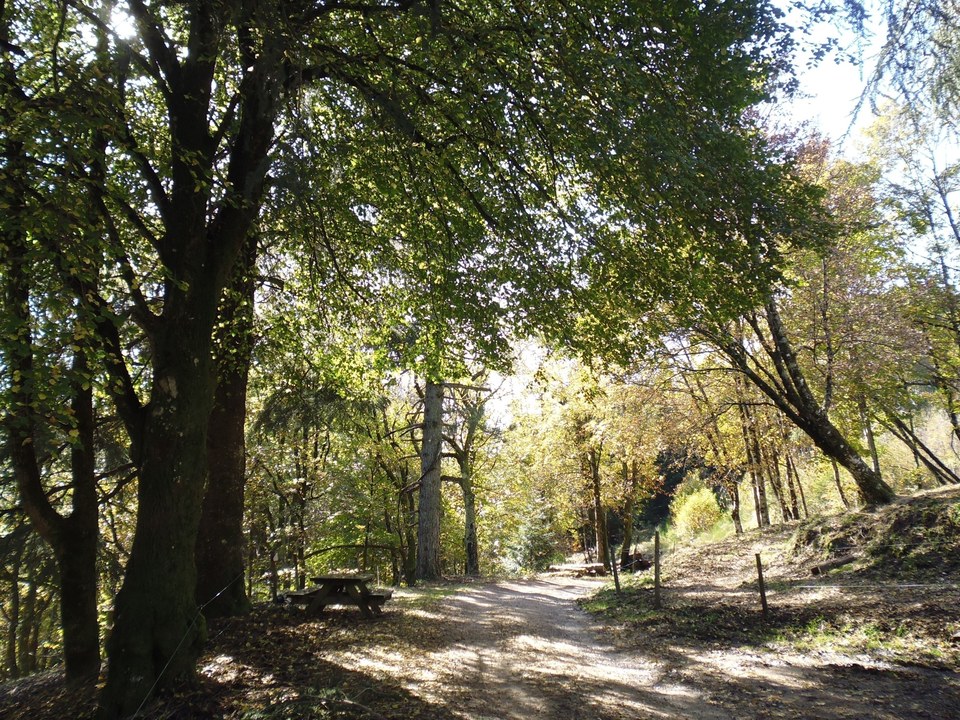 PHOT_Sentier-col-des-abeilles_2024©Marie-Rouquette (15)