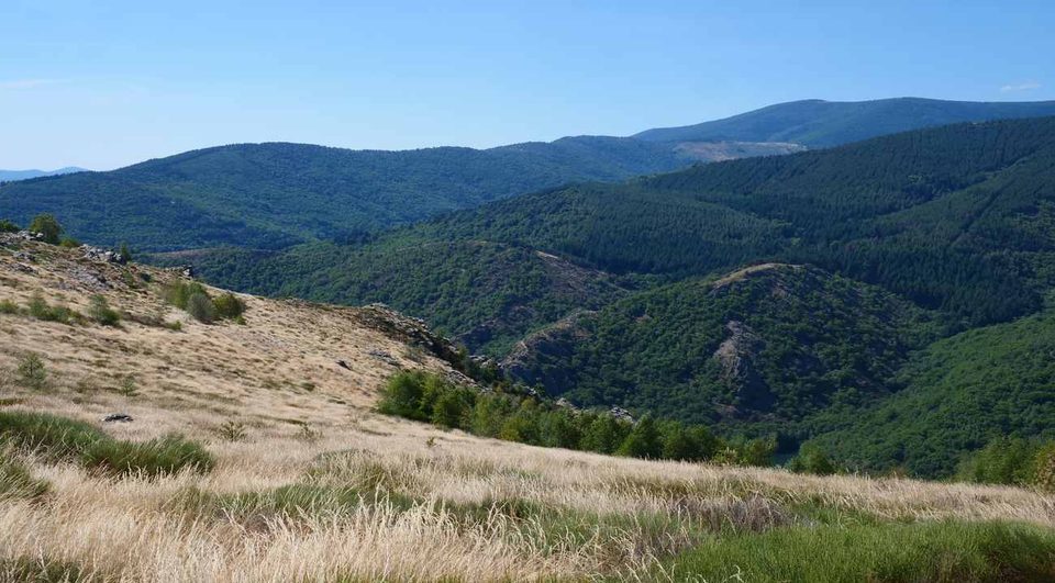 Paysage du mont Lozère