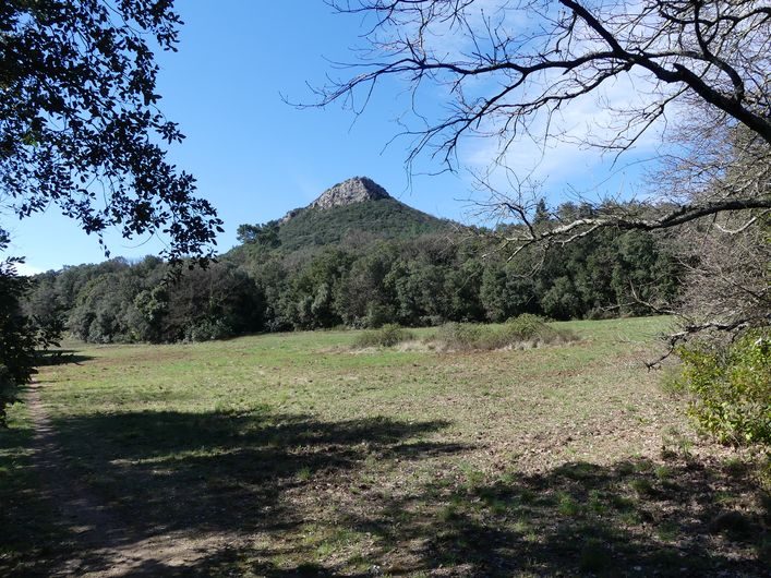 Autour du Capelan