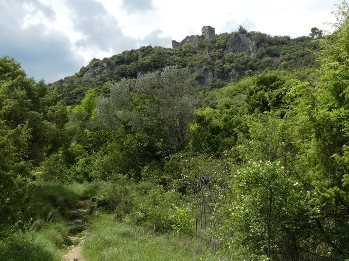 Vue sur le château