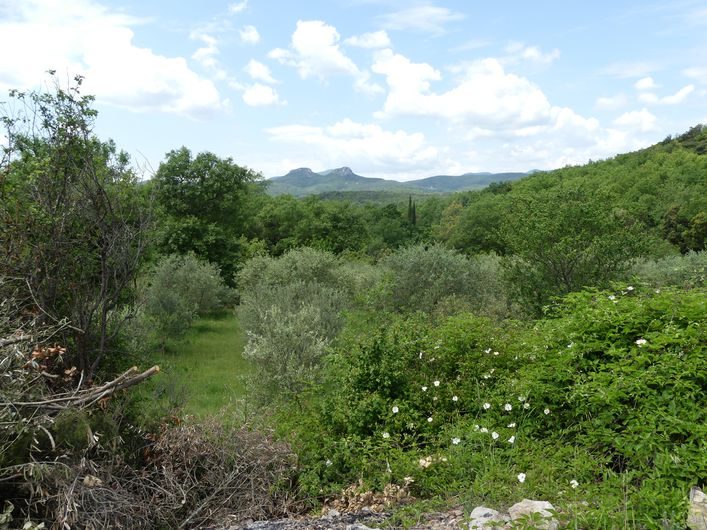 Vue sur les deux jumelles depuis Les Montèzes