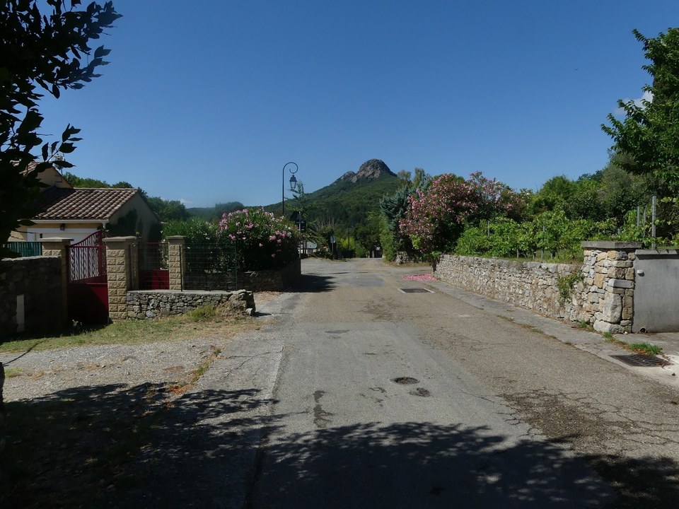 Les jumelles