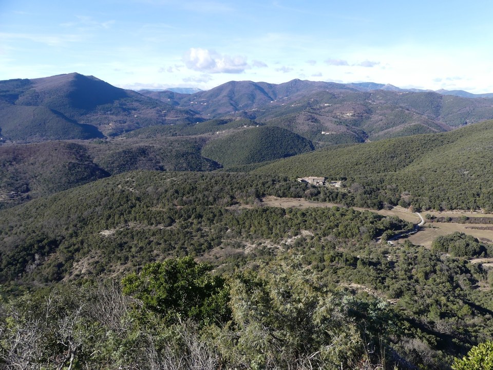 Vue sur l'Aigoual