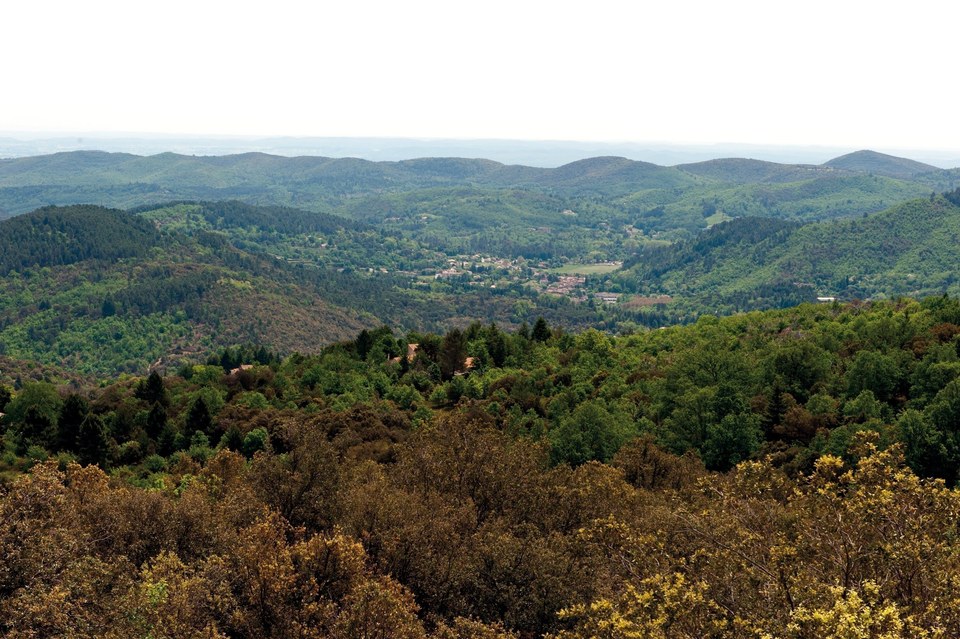 Le Mauripe