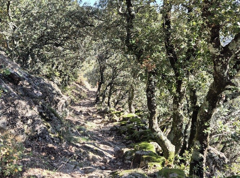 Sentier de crêtes