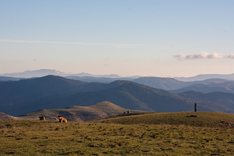 Cham des Bondons