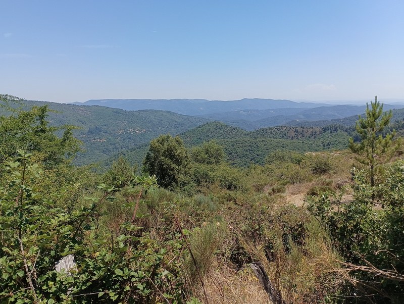 Le long du Luech et de l'Homol