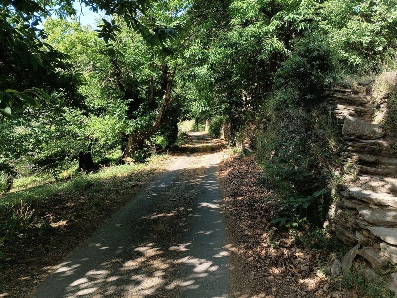 Route La Viale