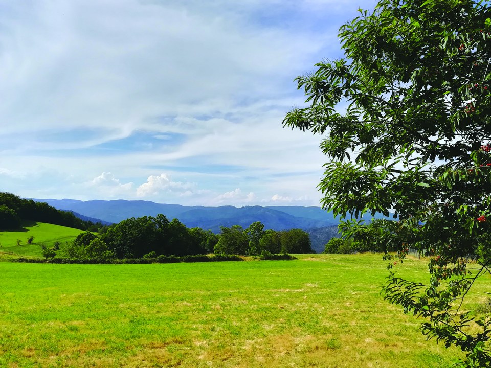Paysages St Roman de Tousque