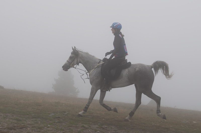Les 160 km de Florac à cheval