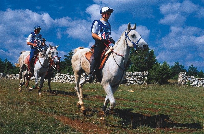 Les 130 km de Florac à cheval