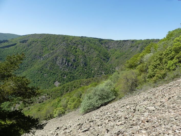 Vue sur la cascade