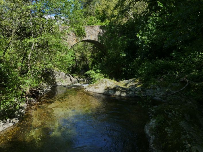 Pont de la Nivoulède