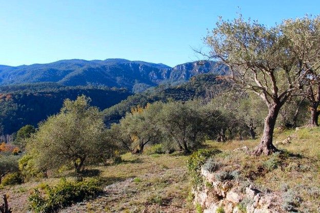 Provence & Côte d'Azur