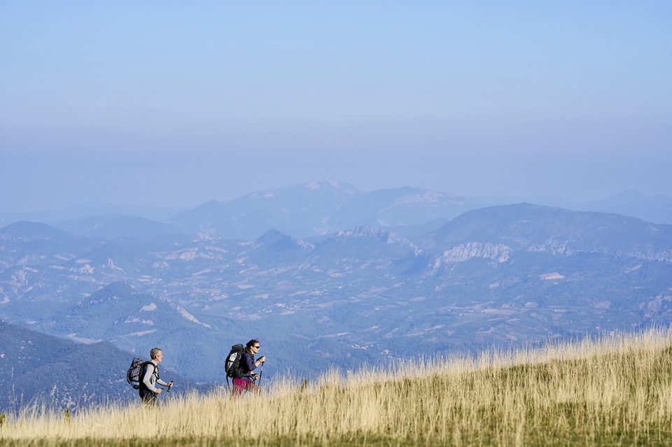 APNRVentoux_Rando_DamienRosso_DSC5258