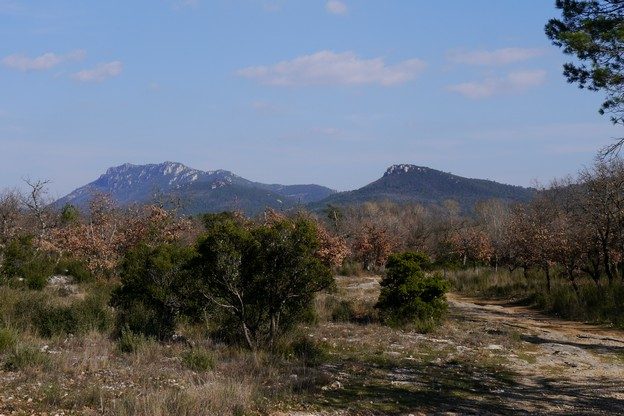 MAZAUGUES - La glacière de Pivaut et le Gaudin