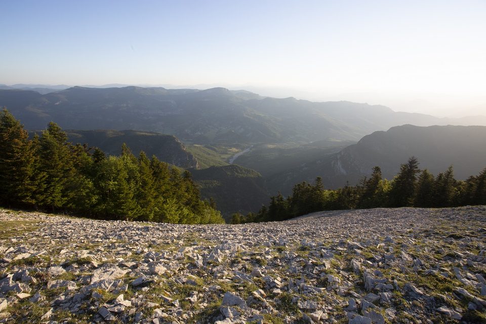Face nord de Lure depuis les crêtes