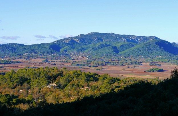 Vue de Néoules et de la Loube