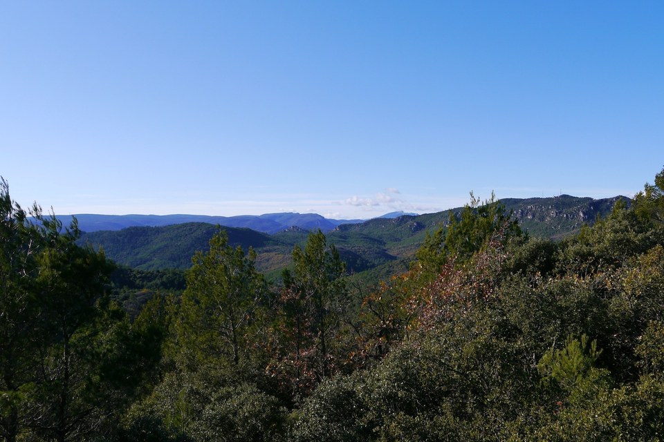 GAREOULT - Le bois de Cavaillon