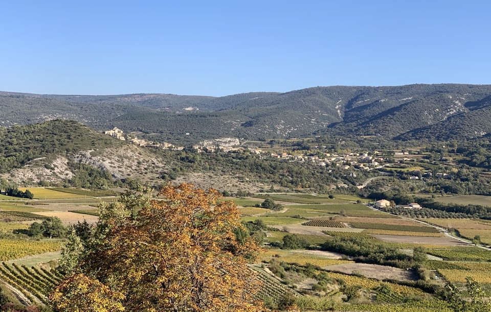 Méthamis vignes et paysage