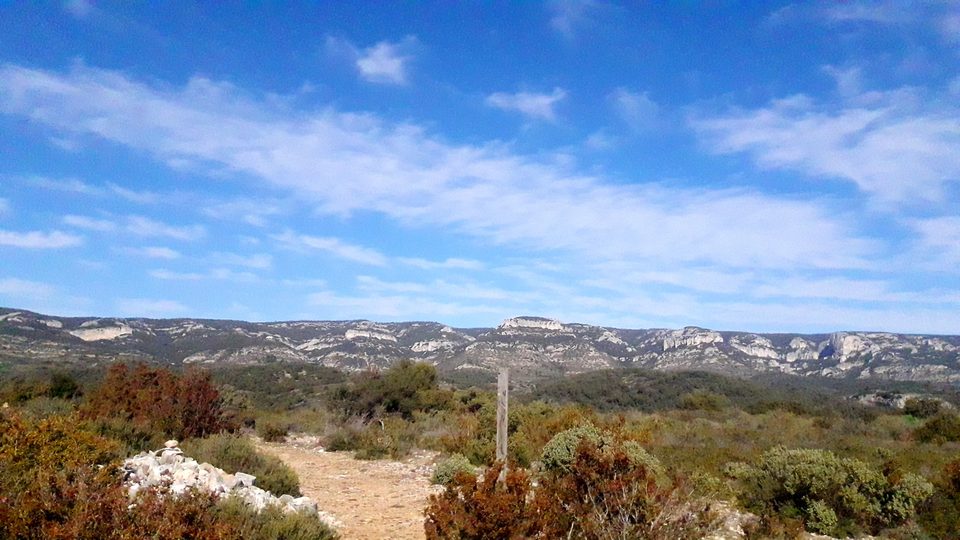 Crau des Mayorques