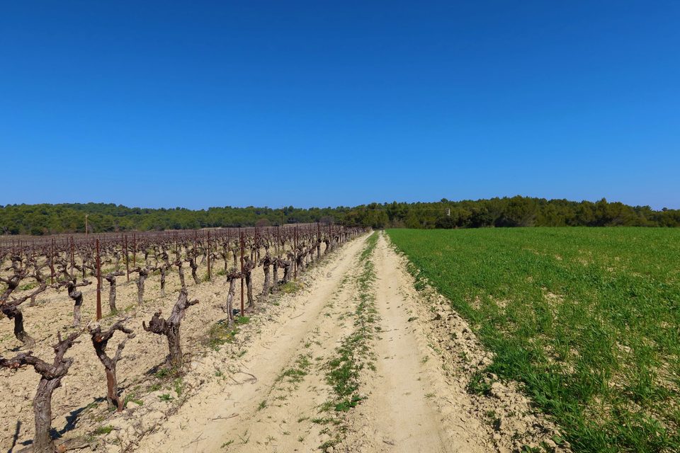 BEAUMONT-DE-PERTUIS - Entre collines boisées et cultures ancestrales