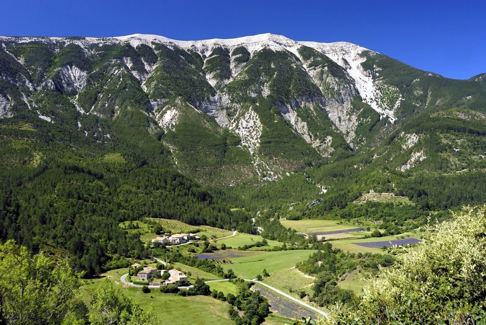 Brantes
