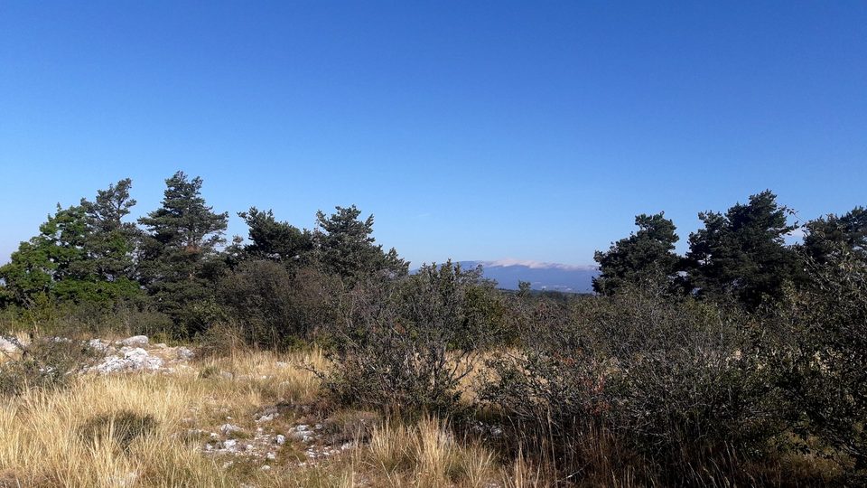 Vue sur le Ventoux depuis le Cluyer