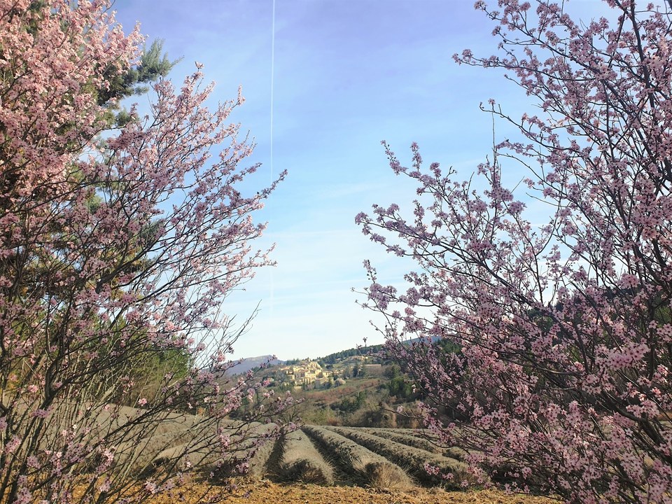 Village d'Aurel