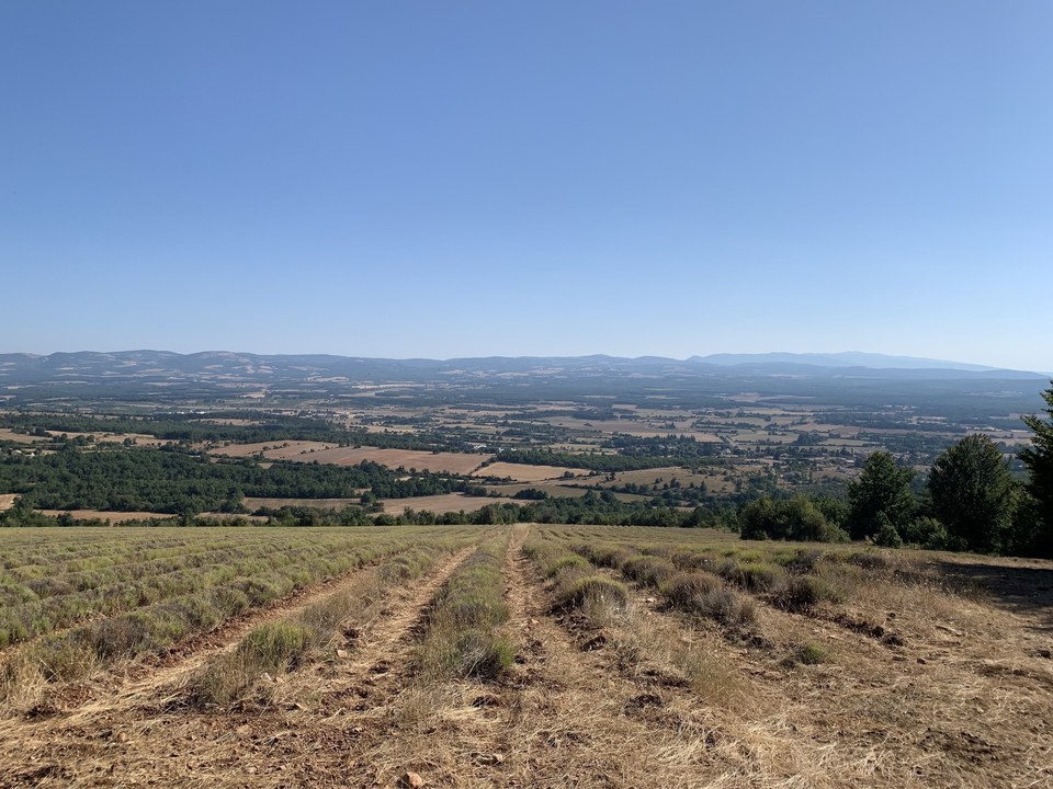 Plateau d'Albion