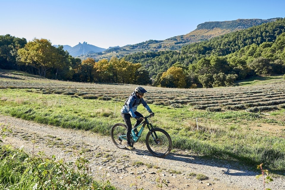 MALAUCENE - Le tour des Abbayes à VTT