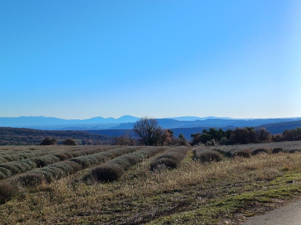 Vue sur le Luberon oriental depuis le plateau de Vachères (D14)