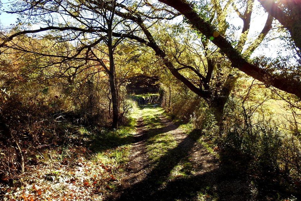 Sur le sentier