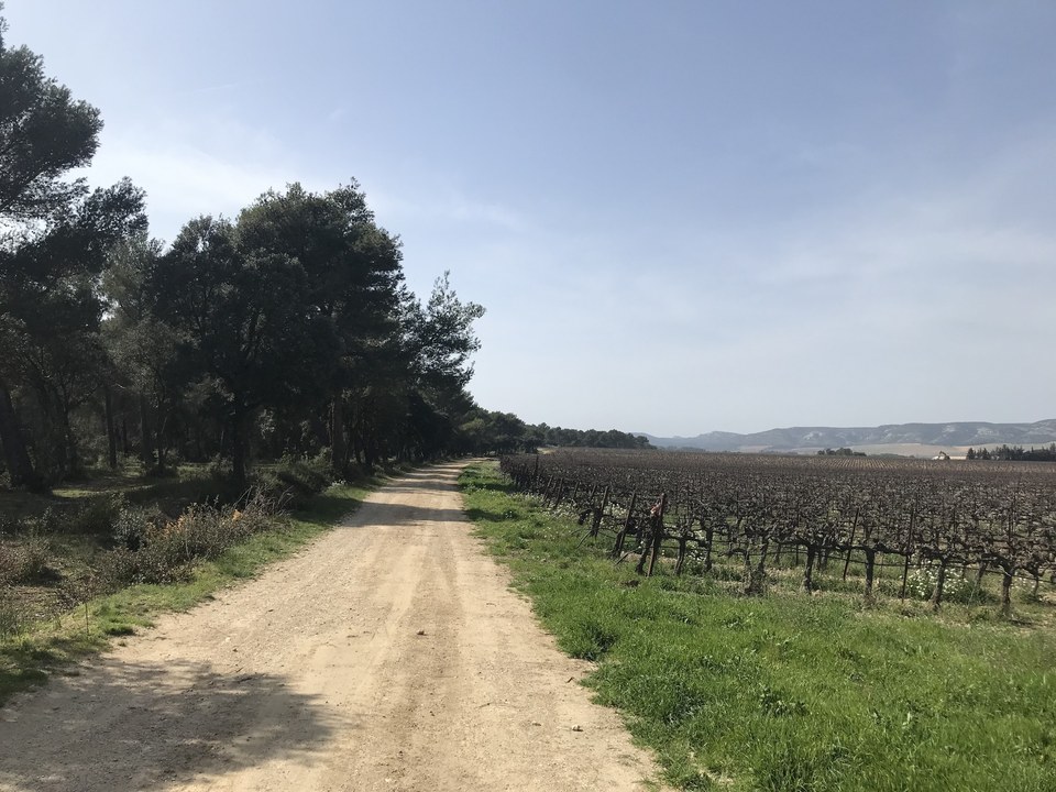 Vignes_PNRA