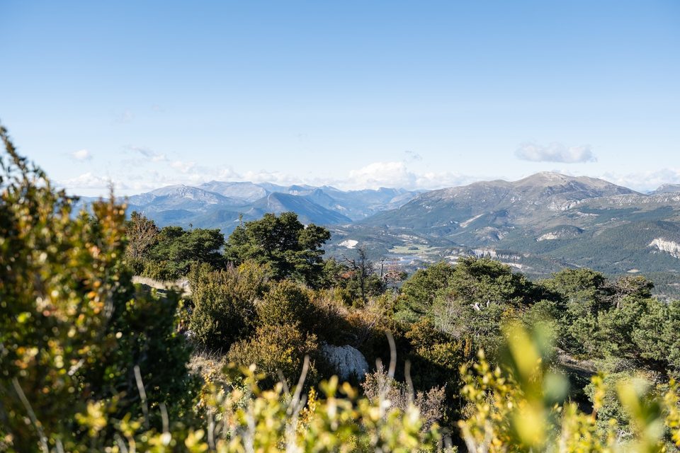 Point de vue