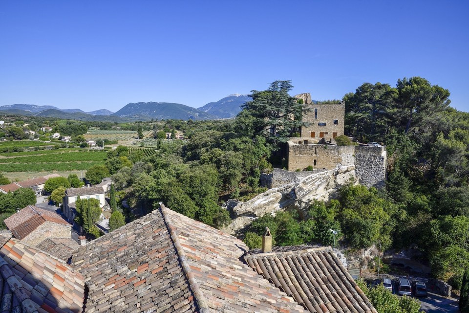 Château de Puyméras